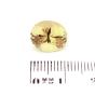 Citrine d'un joli jaune de 3,88 carats - La Taillerie
